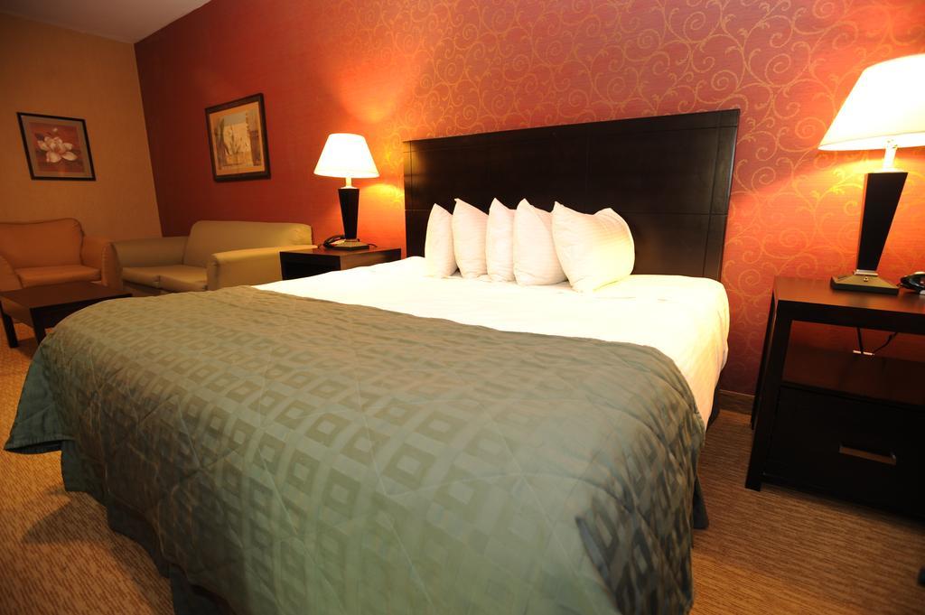 Verve Hotel New York Oda fotoğraf