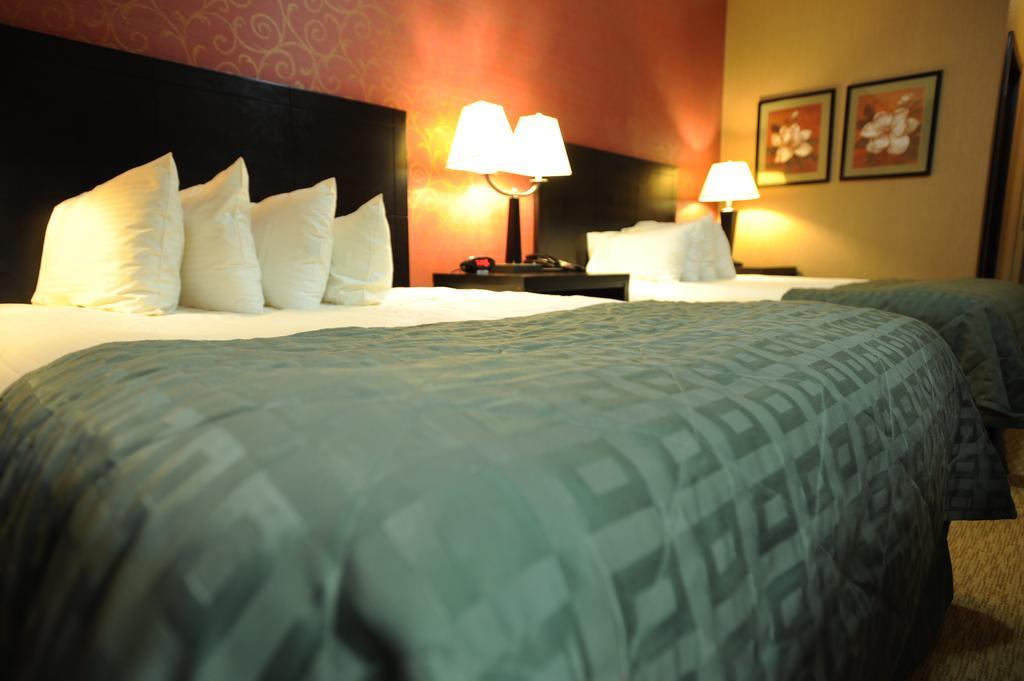 Verve Hotel New York Oda fotoğraf